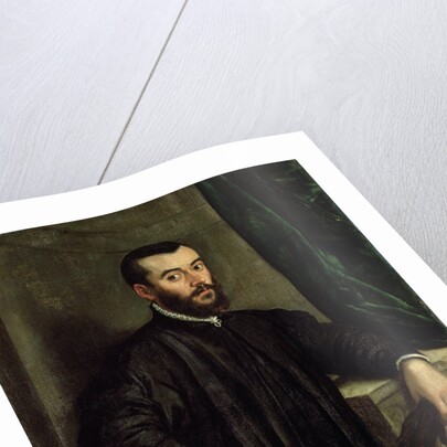Portrait of the physician Andreas Vesalius by Steven van Calcar