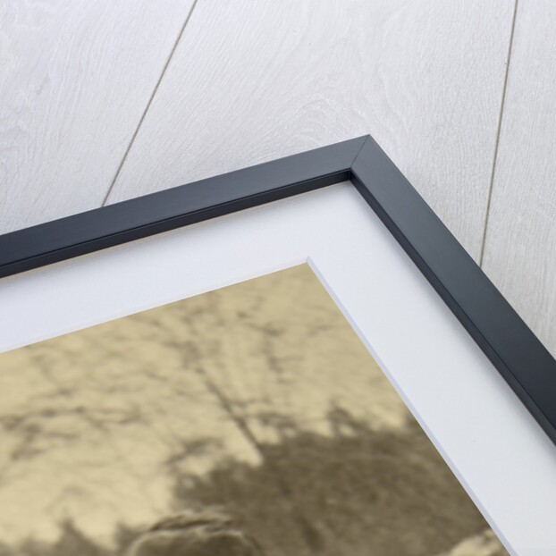 Russian author Leo Tolstoy and his wife, Sophia, Russia, 23 September 1910. by Sophia Tolstaya