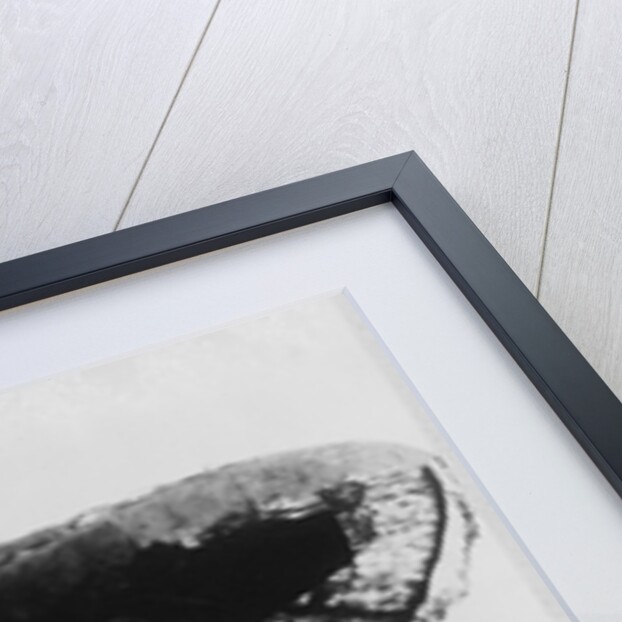 Grand Duchess Maria Pavlovna of Russia, 1912 by Jaeger Photo Studio