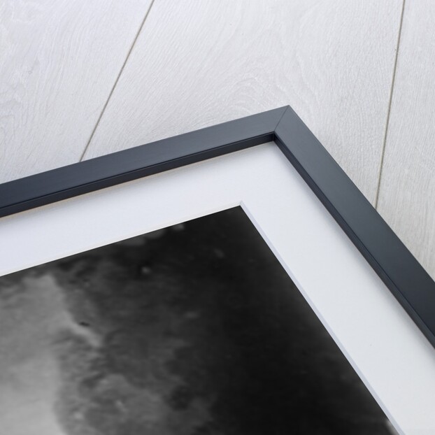 Tsar Nicholas II of Russia as child, c1871 by Sergei Levitsky