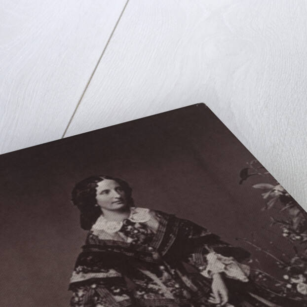 Empress Elisabeth of Austria, 19th century by Franz Hanfstaengl