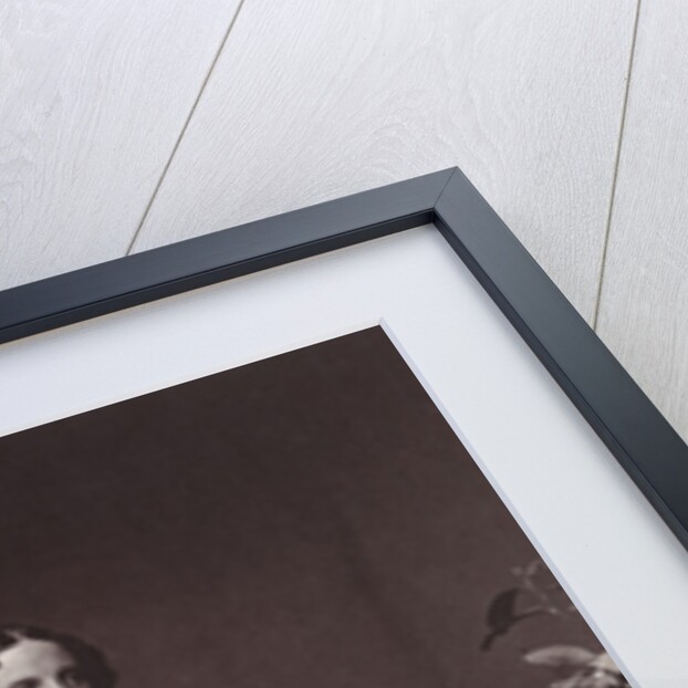 Empress Elisabeth of Austria, 19th century by Franz Hanfstaengl