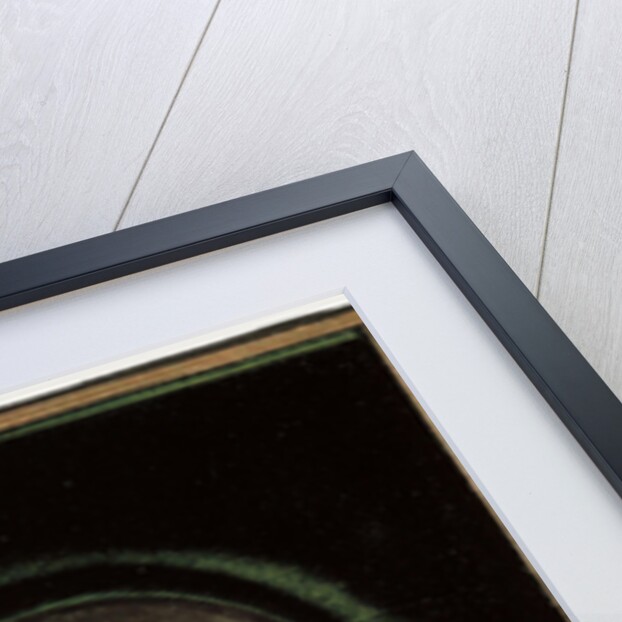 Grand Duchess Maria Nikolaevna of Russia, Duchess of Leuchtenberg, c1840 by Unknown