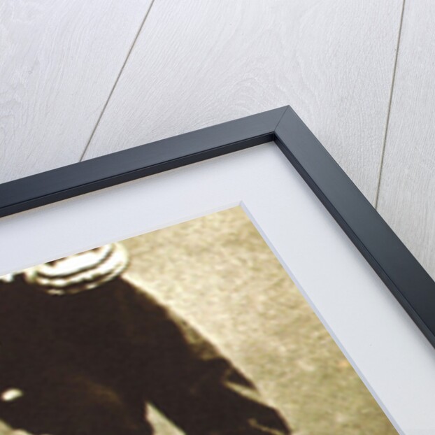 Modest Mussorgsky, Russian  composer, as a young man, late 1850s by Unknown