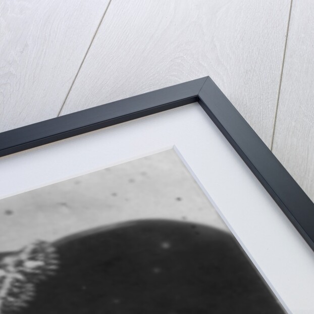 Vera Kholodnaya, Russian silent film actress, 1910s by Unknown