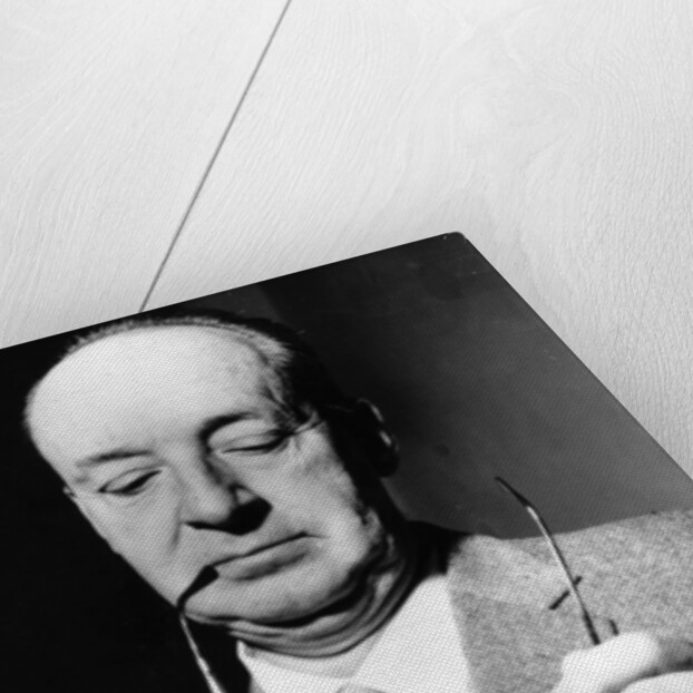 Vladimir Nabokov, Russian author, 20th century by Unknown