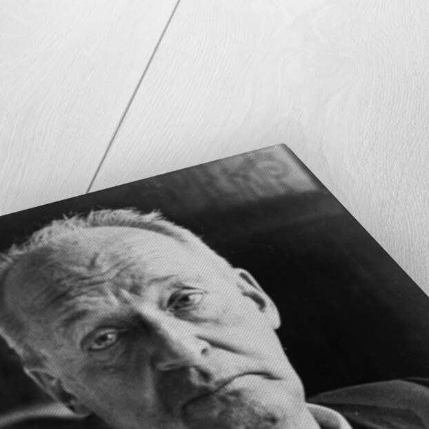 Vladimir Nabokov, Russian author, 20th century by Unknown