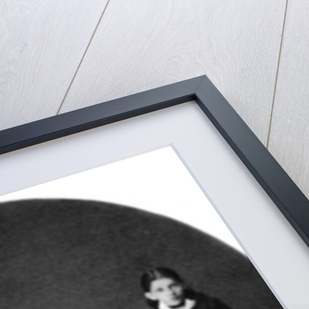 Vladimir Ulyanov (Lenin) as a grammar school pupil, with his family, Simbirsk, Russia, 1879 by Unknown