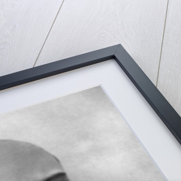 Vladimir Ulyanov (Lenin), Russian Bolshevik revolutionary, Moscow, Russia, February 1900 by Unknown