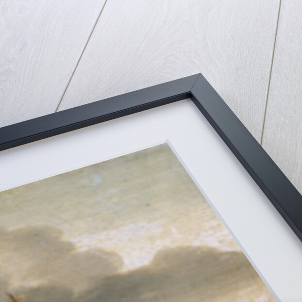 Stormy Sea, 17th century by Hans Goderis