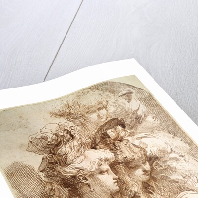 Studies of Eight Heads, late 18th or early 19th century by Mauro Gandolfi
