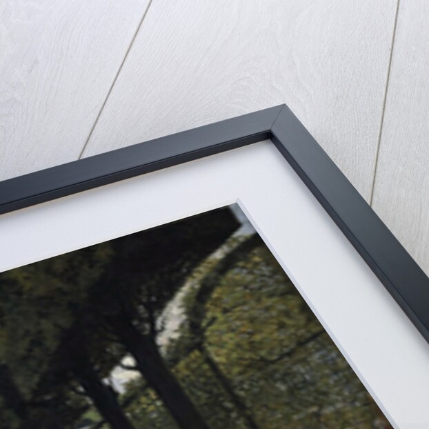 Napoleon I and the King of Rome at Saint-Cloud in 1811, 1896 by Anonymous