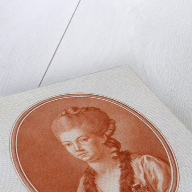 Portrait of Princess Yekaterina Romanovna Vorontsova-Dashkova, 1777 by Anonymous