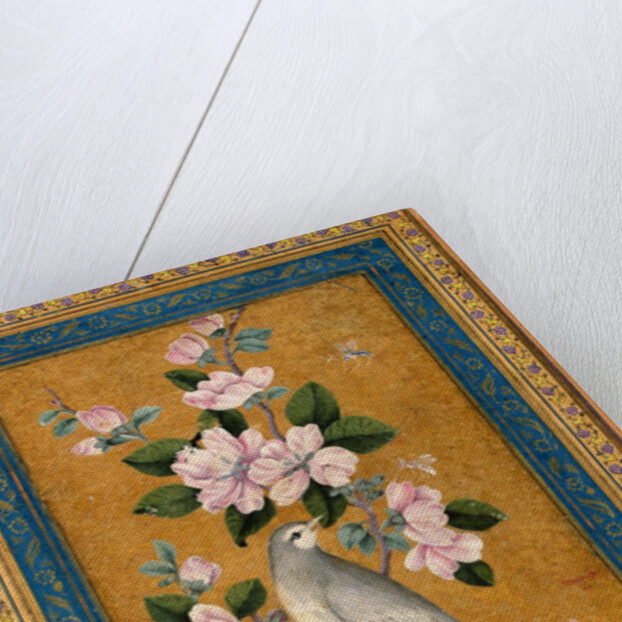 Bird Perching on a Blossoming Branch, 1696 by Anonymous