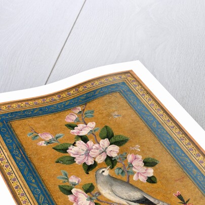 Bird Perching on a Blossoming Branch, 1696 by Anonymous