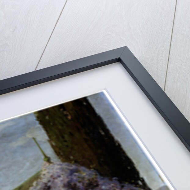 A House Entwined with Wisteria, late 19th or 20th century by Mikhail Alisov