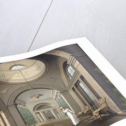 Interior of the Aviary in the Pavlovsk Palace, mid 19th century by Anonymous