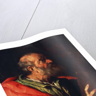 Head of an Old Man (the Apostle Peter?), 17th century by Bernardo Strozzi