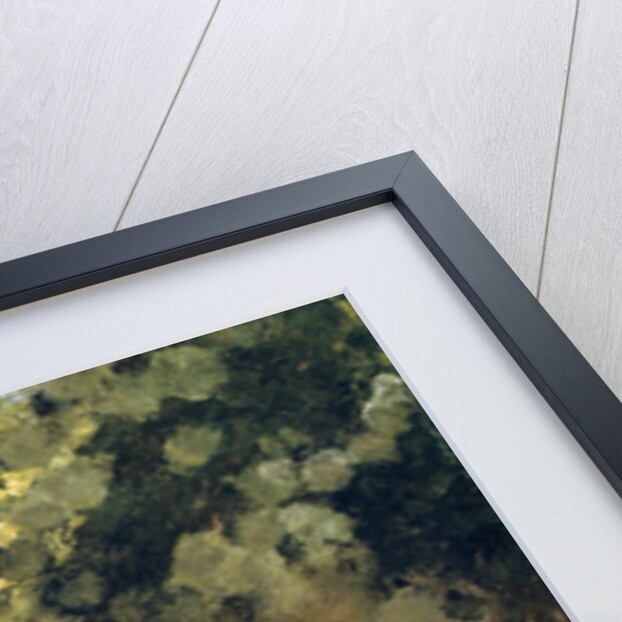 In the Garden, 1898. by Gaston de Latouche