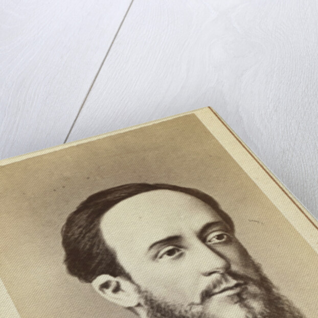 Portrait of the writer and social critic Dmitry Pisarev, 1860s by Anonymous