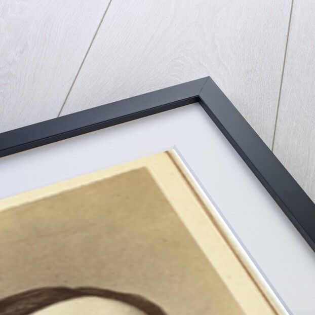 Portrait of the writer and social critic Dmitry Pisarev, 1860s by Anonymous