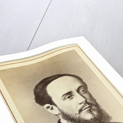 Portrait of the writer and social critic Dmitry Pisarev, 1860s by Anonymous