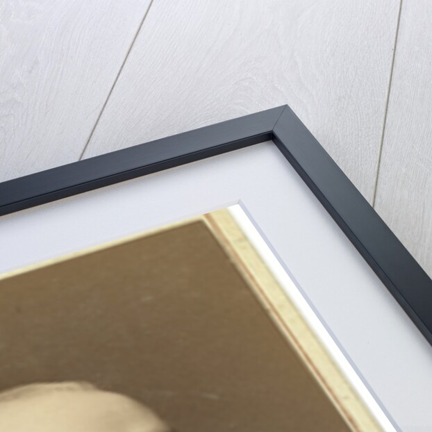 Portrait of Count Count Pyotr Andreyevich Shuvalov by Anonymous