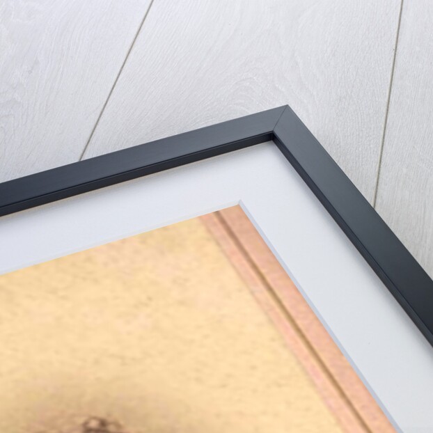 Princess Elizabeth of Hesse by Rhine as child, 1870s-1880s by Anonymous