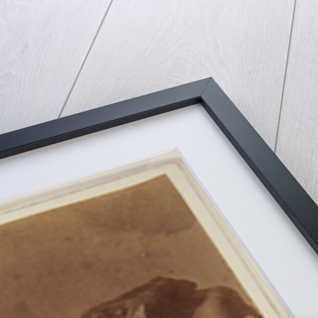 Portrait of Grand Duke George Alexandrovich of Russia, 1870s by Anonymous