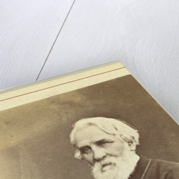 Portrait of the author Ivan S. Turgenev, Between 1880 and 1886 by Anonymous