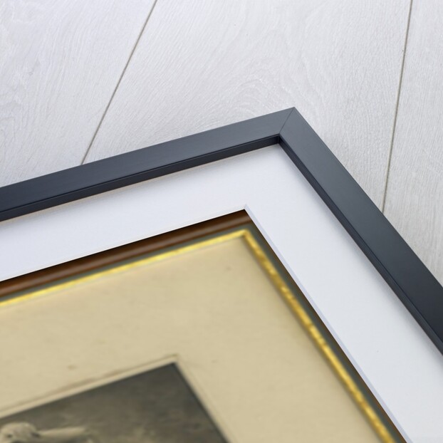 Vaslav Nijinsky in the Ballet Le Spectre de la Rose, 1911 by Anonymous