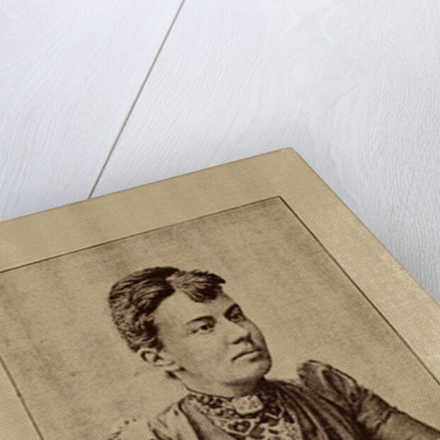 Portrait of the mathematician Sofia Vasilyevna Kovalevskaya, 1890 by Anonymous