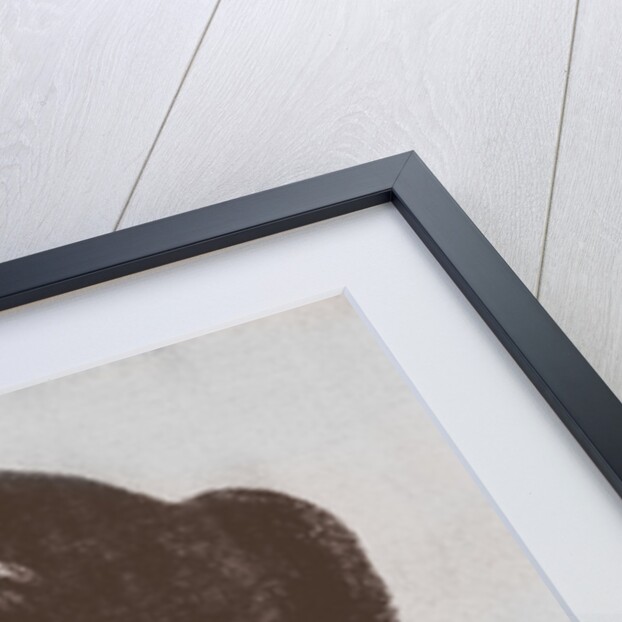 Catherine Dickens (nÃ©e Hogarth) (1815-1879), the wife of novelist Charles Dickens by Anonymous