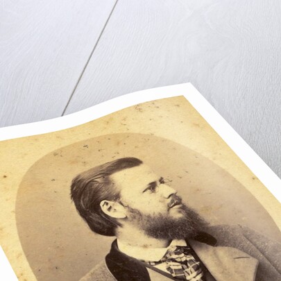 Portrait of Anton Dohrn, 1870 by Anonymous