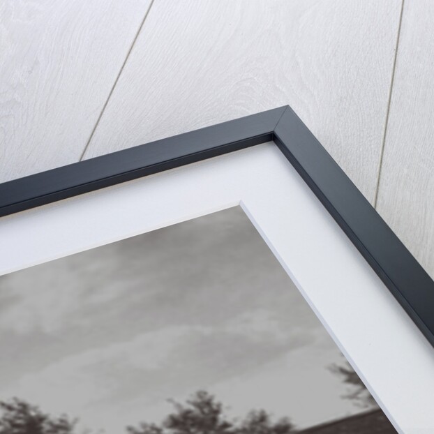 The Ipatiev House in Yekaterinburg by Anonymous