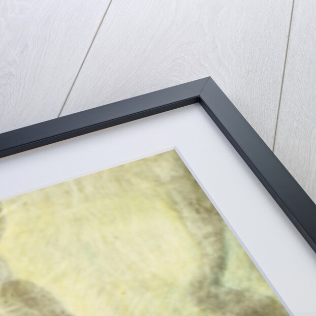 Lenin at the Seventh All-Russian Congress of Soviets on December 1919, 1919 by Leonid Osipovich Pasternak