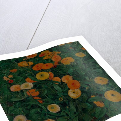 Marigolds, 1909 by Koloman Moser