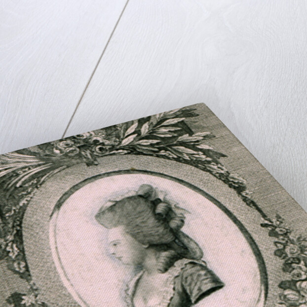 Portrait of Grand Duchess Maria Feodorovna (Sophie Dorothea of Württemberg), 1781 by Johann Hieronymus Loeschenkohl