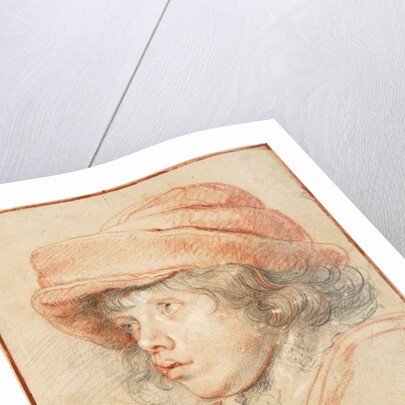 Rubenss Son Nicolaas Wearing a Red Felt Cap, 1625-1627 by Pieter Paul Rubens