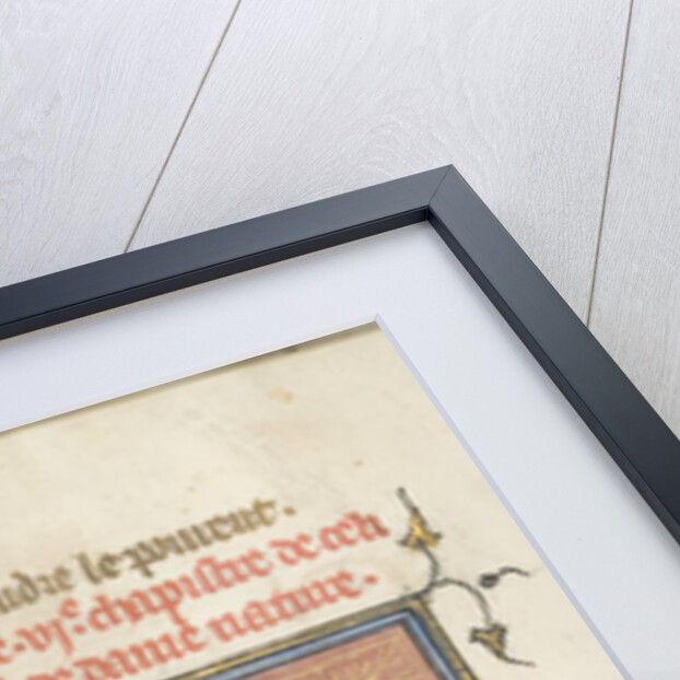 Miniature from a manuscript of the Roman de la Rose by Guillaume de Lorris and Jean de Meun, ca 1365 by Master of the Rose novels