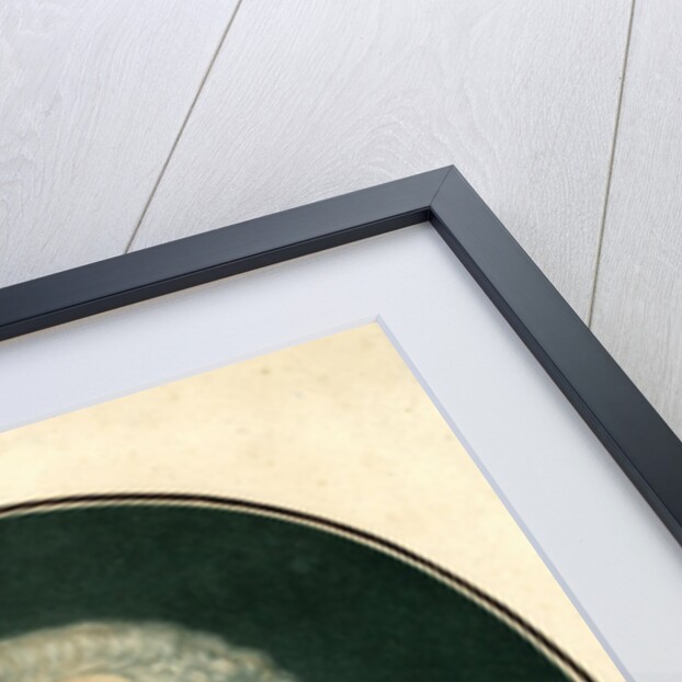 Portrait of Jean-Jacques Rousseau, 1791 by Angélique Allais