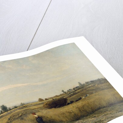The Harvest, 1851 by Charles-François Daubigny