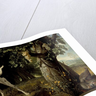 Landscape with a Dog and Partridges, 1719 by Alexandre François Desportes