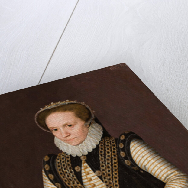Portrait of an unknown French Noblewoman, 1560 by French master