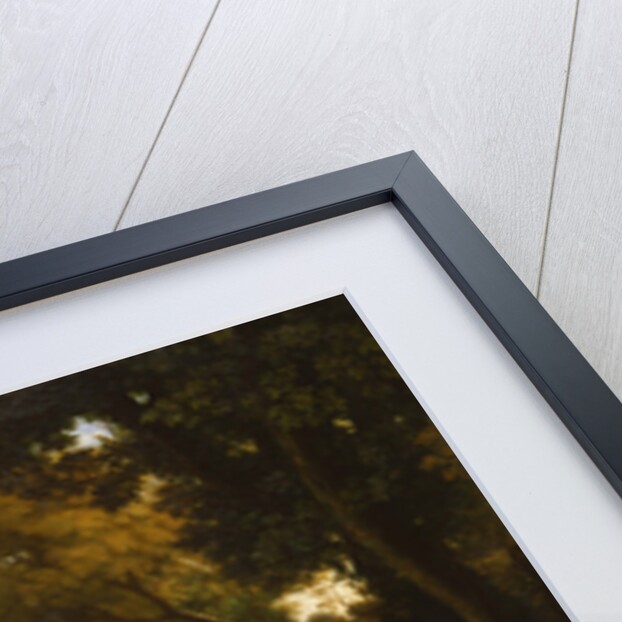 Landscape with Dancing Satyrs and Nymphs, 1646 by Claude Lorrain