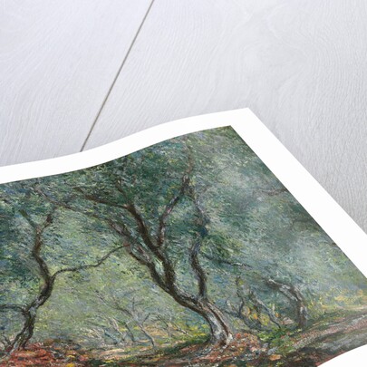 Bois doliviers au jardin Moreno, 1884 by Claude Monet