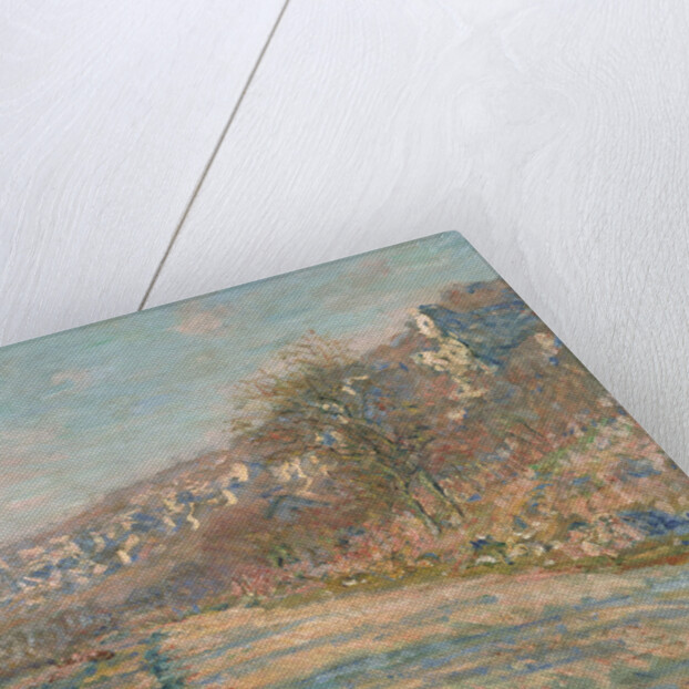 Road of La Roche-Guyon, 1880 by Claude Monet