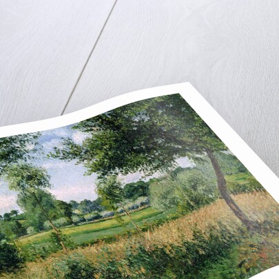 Morning Sunlight Effect, Eragny, 1899 by Camille Pissarro