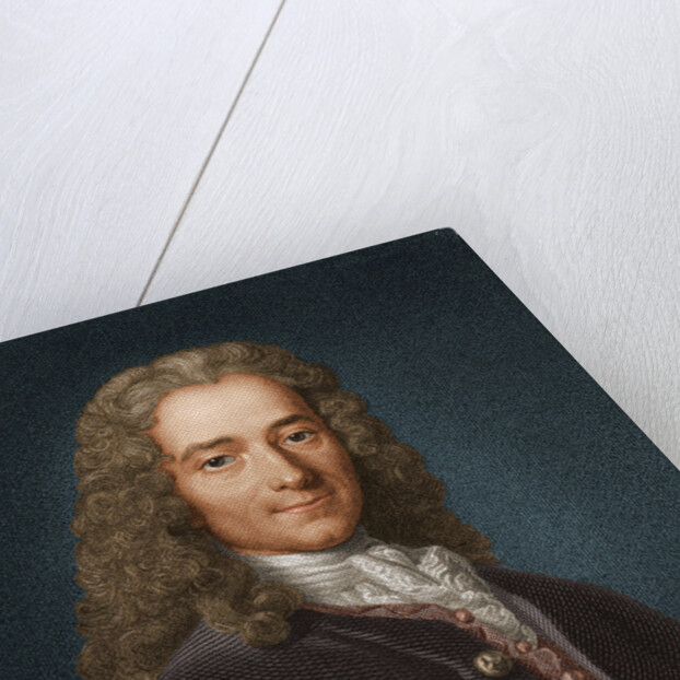 Portrait of the writer, essayist and philosopher Francois Marie Arouet de Voltaire, 1730s by Anonymous