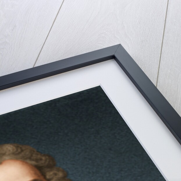 Portrait of the writer, essayist and philosopher Francois Marie Arouet de Voltaire, 1730s by Anonymous